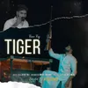 About Tiger Song