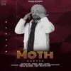 Moth