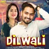 About Dilwali Song