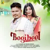 About Bogibeel Song