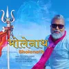 About Bholenath Song