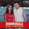 About Dudukugala Song