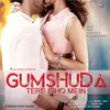 About GUMSHUDA TERE ISHQ MEIN Song