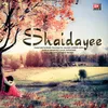 About Jabse Shaidayee Hua Dil Song