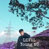 About Level Song