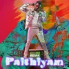About Paithiyam Song
