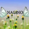 About NAGINO Song