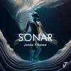 About Sonar Song
