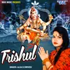 About Trishul Song
