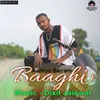 About Baaghi Song