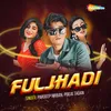 About Fuljhadi Song
