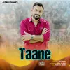 About Taane Song