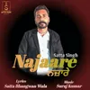 About Najaare Song
