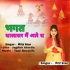 About Bhagat Salasar Mein Aare Se Song