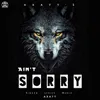 About Aint Sorry Song