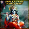 About Shri Krishna Mashup Song Song
