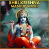 Shri Krishna Mashup Song