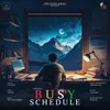 About Busy Schedule Song