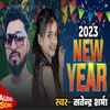 About 2024 New Year Song Song