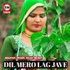 About Dil Mero Lag Jave Song