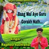 About Baag mei aye Guru Gorakh Nath Song