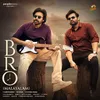 Bro Title Song