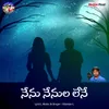 Nenu Nenula Lene