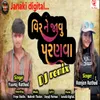 About Vir Ne Javu Parnava - DJ (Remix) Song