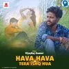 About Hava Hava Tera Ishq Hua Song