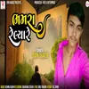 About Bhamra Relya Re Song
