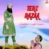 About Teri Razaa Song