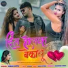 About Dil Holak Bekabu Song