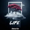 About LIFE Song