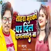 About Tohra Muski Par Dil Pagalail Ba Song