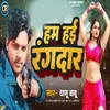 About Ham Hai Rangdar Song