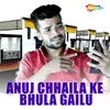 About Anuj Chhaila Ke Bhula Gailu Song