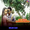 About Dil Mora Karle Baiman Song