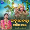 About Kanha Re Kanha Asija Thare Song