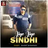 About Jiyo Jiyo Sindhi Song