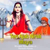 About Teri Ajab Nirali Maya Song