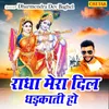 About Radha Mera Dil Dhadkati Ho Song