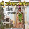 About Shree Saleshwar Mahadev Mahima (Guda Pratapsingh) Song