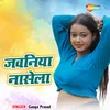 About Jawaniya Nasela Song