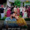 About Teri Hoiyaan Song