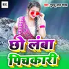 About chho lamba pichkari Song