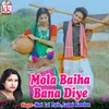 About Mola Baiha Bana Diye Song