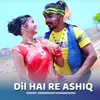 About Dil Hai Re Ashiq Song