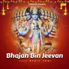 About Bhajan Bin Jeevan Song