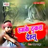 About Hamke Thukra Dehlu Song