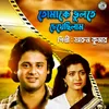 About Tomake Bhulte Cheyechhilam Song